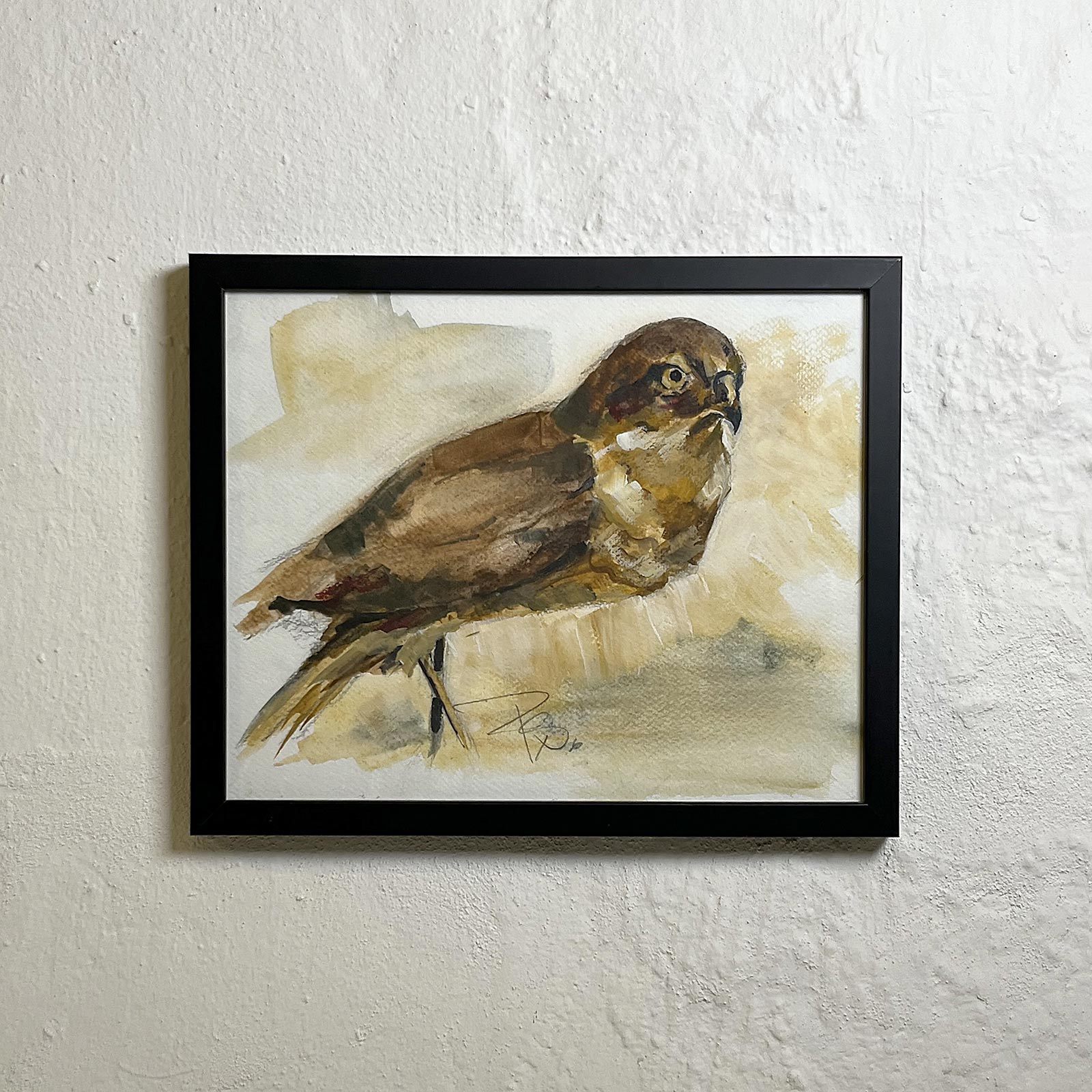 Rovfugl - akvarel malet af billedkunstner Peter Simonsen.